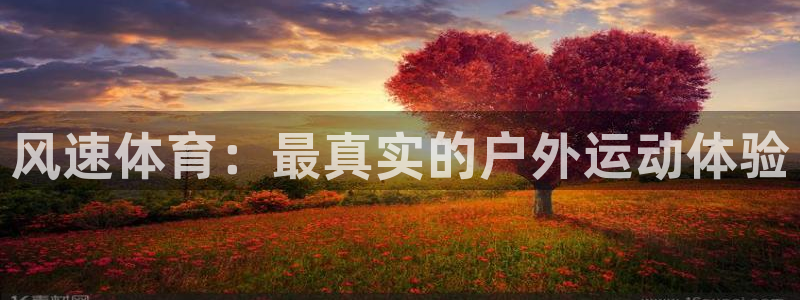 杏鑫3登陆：风速体育：最真实的户外运动体验