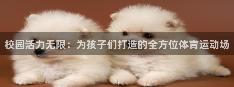 杏鑫体育网页版入口：校园活力无限：为孩子们打造的全方位体育运动场