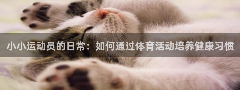 杏鑫体育app下载：小小运动员的日常：如何通过体育活动培养健康习惯