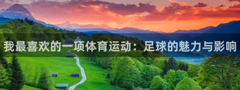 杏鑫3平台注册：我最喜欢的一项体育运动：足球的魅力与影响