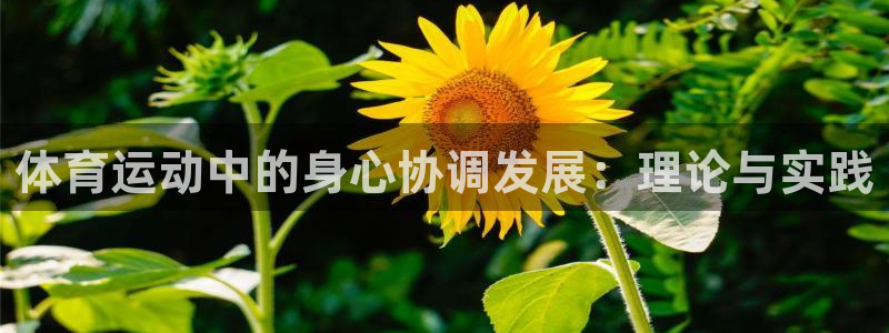杏鑫平台招商：体育运动中的身心协调发展：理论与实践