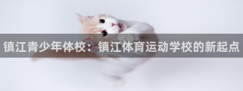 杏鑫体育