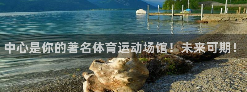 杏鑫体育凯捷代理注册：中心是你的著名体育运动场馆！未来可期！