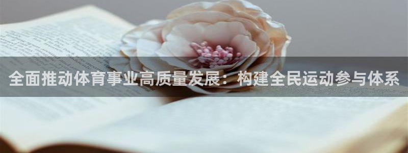杏鑫体育平台登录入口：全面推动体育事业高质量发展：构建全民运动参与体系