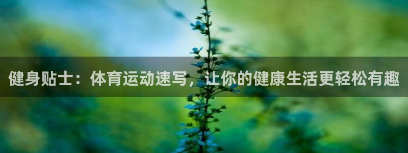 杏鑫凯捷注册：健身贴士：体育运动速写，让你的健康生活更轻松有趣