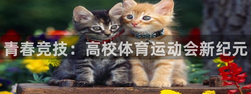 杏鑫2体育登录入口：青春竞技：高校体育运动会新纪元