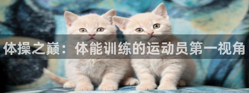 杏鑫凯捷开号链接：体操之巅：体能训练的运动员第一视角