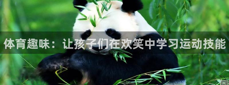 杏鑫体育免费注册入口：体育趣味：让孩子们在欢笑中学习运动技能
