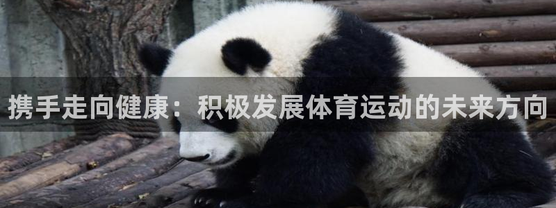 杏鑫体育在线注册：携手走向健康：积极发展体育运动的未来方向