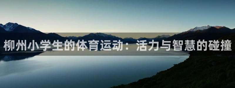 上海杏鑫汽车电子有限公司：柳州小学生的体育运动：活力与智慧的碰撞