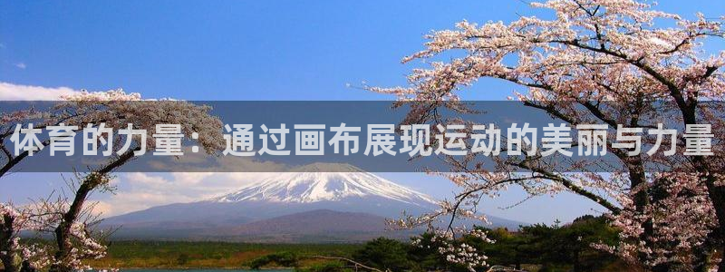 杏鑫体育3在线注册：体育的力量：通过画布展现运动的美丽与力量