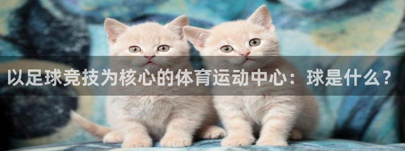 杏鑫官网：以足球竞技为核心的体育运动中心：球是什么？
