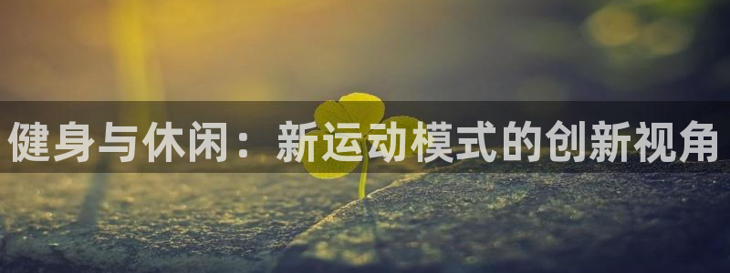 杏鑫3：健身与休闲：新运动模式的创新视角