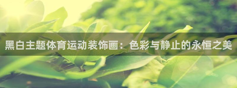 成都杏鑫电子有限公司：黑白主题体育运动装饰画：色彩与静止的永恒之美