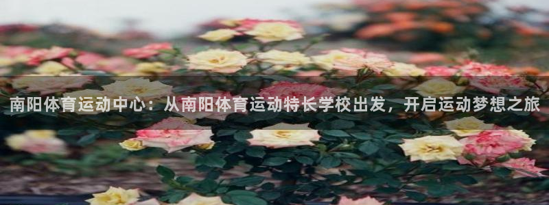 杏鑫集团官网：南阳体育运动中心：从南阳体育运动特长学校出发，开启运动梦想之旅