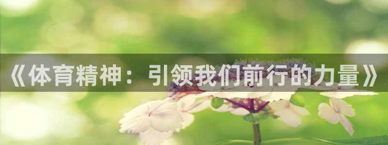 杏鑫体育4：《体育精神：引领我们前行的力量》