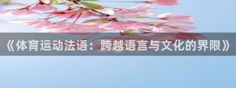 杏鑫集团股票：《体育运动法语：跨越语言与文化的界限》