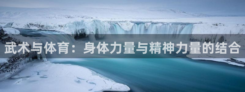 杏鑫4平台：武术与体育：身体力量与精神力量的结合