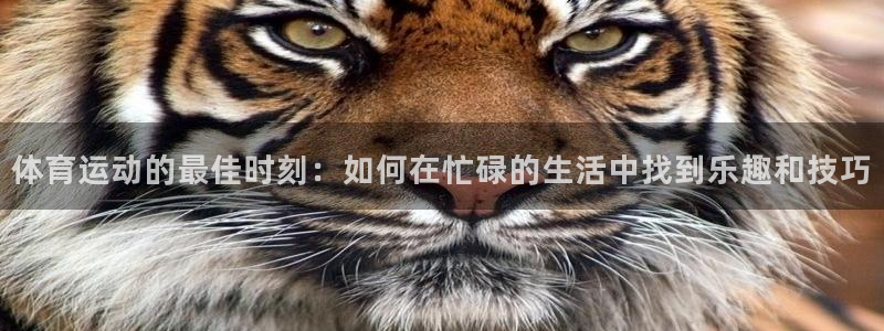 杏鑫平台注册：体育运动的最佳时刻：如何在忙碌的生活中找到乐趣和技巧