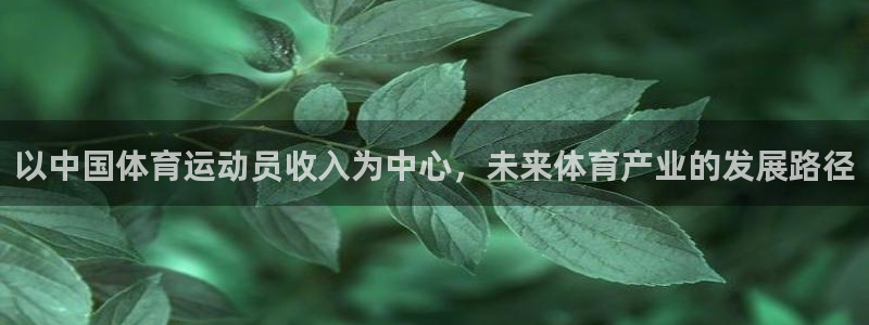 杏鑫平台总代理：以中国体育运动员收入为中心，未来体育产业的发展路径