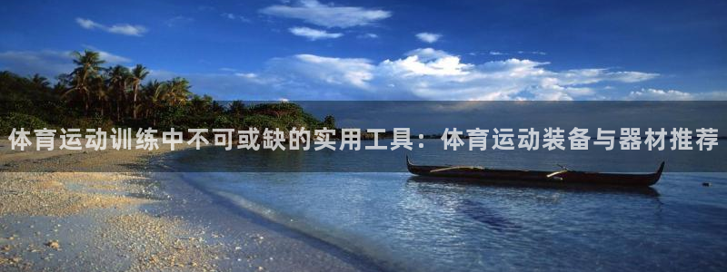 杏鑫5：体育运动训练中不可或缺的实用工具：体育运动装备与器材推荐