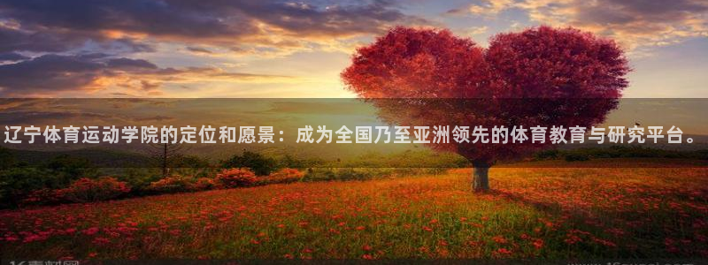 杏鑫kgame：辽宁体育运动学院的定位和愿景：成为全国乃至亚洲领先的体育教育与研究平台。