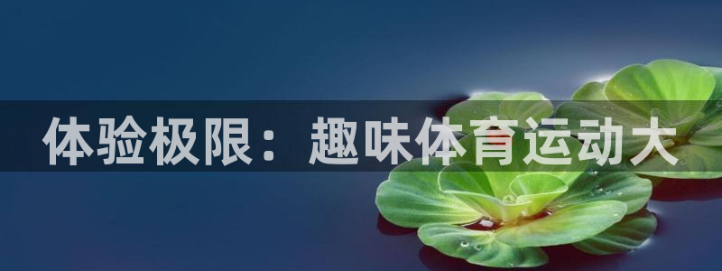 杏鑫体育和杏耀是哪个公司的：体验极限：趣味体育运动大