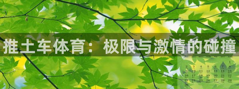 杏鑫2平台登录：推土车体育：极限与激情的碰撞