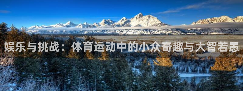 杏鑫体育平台注册：娱乐与挑战：体育运动中的小众奇趣与大智若愚