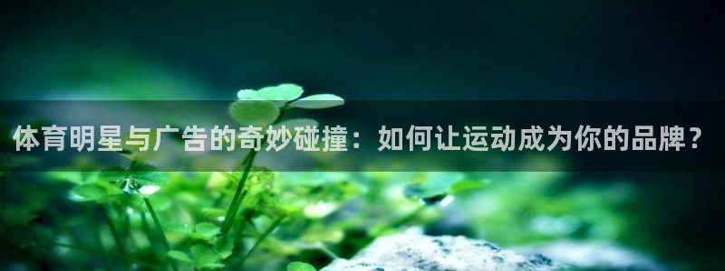 杏鑫平台总代理：体育明星与广告的奇妙碰撞：如何让运动成为你的品牌？