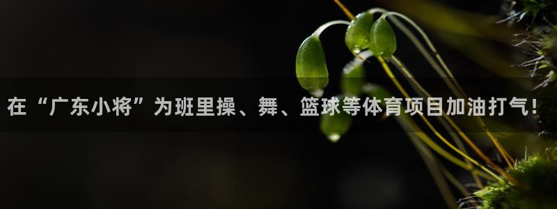 杏鑫集团官网：在“广东小将”为班里操、舞、篮球等体育项目加油打气！