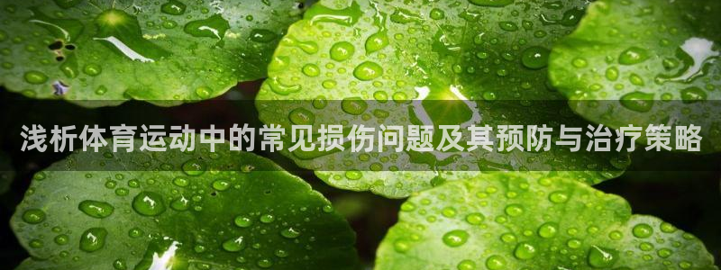 杏鑫3官网：浅析体育运动中的常见损伤问题及其预防与治疗策略