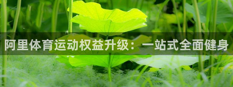 杏鑫4官网：阿里体育运动权益升级：一站式全面健身